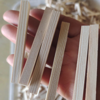 Cross-Border Exclusive Supply China Pine Wood Slats Solid Wood Flat Modern Smooth Surface DIY Building Model Material Square