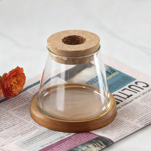 وعاء زجاجي صغير على شكل جبل للزراعة المائية مع غطاء خشبي وصينية للديكور الداخلي - Product Image 2