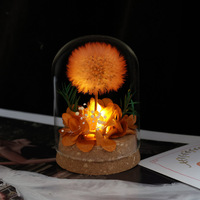 Dôme en verre fait main avec pissenlit éternel, fleurs préservées, cadeau, veilleuse, décoration de table et d'intérieur, plantes décoratives