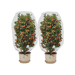 Fábrica Agricultura HDPE Plástico Malla antiinsectos Red a prueba de insectos para cubrir Bolsa de malla de protección de árboles frutales - Product Image 1