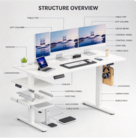 Bureau électrique blanc réglable en hauteur, assis-debout, double moteur, contrôle par mémoire, pour bureau à domicile, prise UK