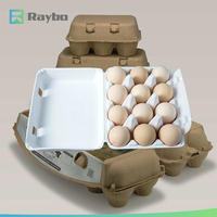 RAYBO Barquette à œufs personnalisée 10 alvéoles en papier recyclé, pulpe de bagasse jetable, emballage compostable et biodégradable, impression d'emballages
