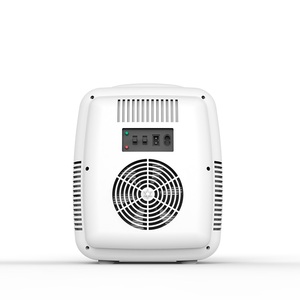 Bon prix 12V 9L voiture électrique petits réfrigérateurs Dc 12V maison Mini réfrigérateur pour les viandes - Product Image 3