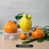Vase à citron hydroponique en céramique écologique Yangtao, glaçure pigmentée moderne, pour plantes vertes, décoration de table, salon, bureau, bureau à domicile