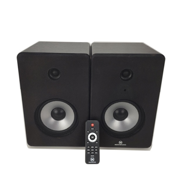 2023 Quality Design Karaoke Studio Bookshelf Speaker With BT, USB &EQ