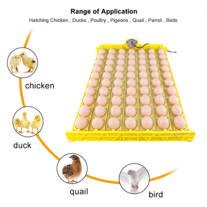 Fournisseurs chinois incubateurs œufs <span class=keywords><strong>à</strong></span> <span class=keywords><strong>couver</strong></span> couveuse automatique d'œufs de poule incubateur de volaille plateau de 70 œufs - Product Image 2