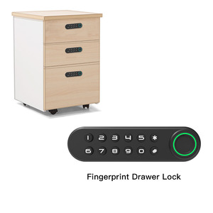 QIDOTS huella digital teclado numérico mini cerradura de combinación de gabinete magnético - Product Image 5