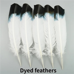 Lote de 10 Plumas de Águila Naturales para Manualidades, Accesorios para Tocados, Decoración Festiva, Plumas de Carnaval, Decoración DIY - Product Image 6