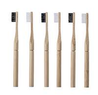 Brosse à dents en bambou biodégradable jetable pour adultes, logo personnalisé, écologique, charbon de bois, poils en nylon doux, hôtels
