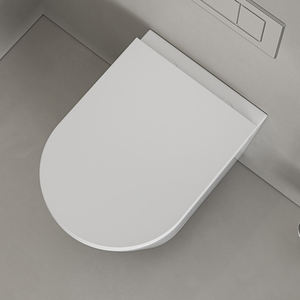 <span class=keywords><strong>WC</strong></span> combiné avec réservoir à double chasse, élément de salon, siège en plastique intégré - Product Image 2