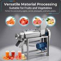 Industriële schroefpers sapcentrifuge machine commerciële fruit- en groentesapcentrifuge voor voedselverwerkingsbedrijven