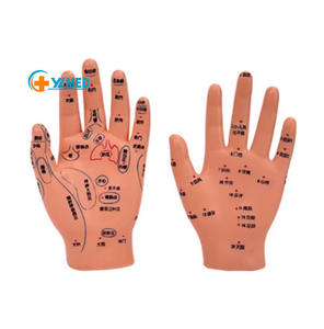 टीसीएम शिक्षण मॉडल सटीक Acupoint शिक्षण हाथ मॉडल अनुशासन मालिश एक्यूपंक्चर प्रशिक्षण हाथ मॉडल चित्र परमवीर चक्र सामग्री - Product Image 1