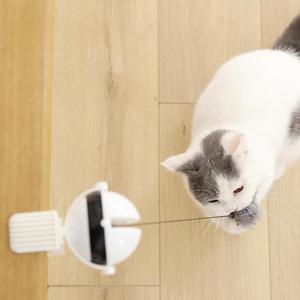 Jouet électrique pour chat UoYin YoYo avec boule élévatrice, dispositif de divertissement automatique pour chats - Product Image 2