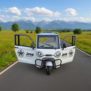 Promo Terbatas Tricycle Listrik 800W Anti-Tingkap, Kendaraan Roda Tiga Listrik untuk Rekreasi, E-Trike, <span class=keywords><strong>Tuk</strong></span> <span class=keywords><strong>Tuk</strong></span> Listrik - Product Image 1