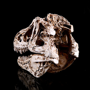 Venta al por mayor <span class=keywords><strong>Trex</strong></span> SKD05 Tyrannosaurus Rex Skull <span class=keywords><strong>3D</strong></span> Resina Calavera Adornos Animal - Product Image 3