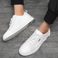 Chaussures de créateur pour hommes, baskets de luxe en cuir véritable, chaussures de sport de skateboard d'extérieur, baskets à motif d'alligator pour hommes