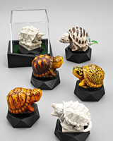 Figura de Tortuga Impresa en 3D a Todo Color con Caja de Exhibición y Base de Hierba, Estatua de Animal Realista, Adorno de Escritorio al por Mayor para Regalo