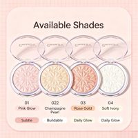 Palette de fard à joues et d'enlumineur LSFAIRY LF187, ensemble de poudres pour le visage professionnel, format voyage, emballage personnalisé, fournisseur, logo personnalisé