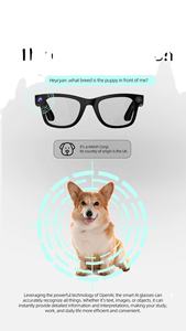 Novedades, Gafas Inteligentes Yiqungo G300, Cámara de 8K y 800W Píxeles, Fotos y Videos HD, Llamadas BT 5.4, Asistente de Voz con IA, Traducción Inteligente - Product Image 2