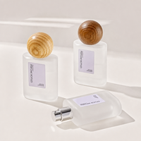 Flacon de parfum de luxe en verre dépoli avec bouchon en bois, rechargeable, portable, vaporisateur de parfum vide, atomiseur
