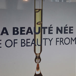 Offre Spéciale jésus photos autocollant mural personnalisé vinyle autocollant autocollant personnalisé chaleur décalque couleur enfants <span class=keywords><strong>stickers</strong></span> muraux brillent pour la publicité - Product Image 3