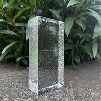 Briques décoratives creuses en verre trempé, résistantes au feu, imperméables, écologiques et durables pour hôtels, cliniques et cuisines