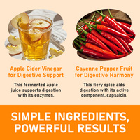 Cápsulas de Vinagre de Sidra de Manzana con Pimienta de Cayena para Apoyo al Metabolismo, Veganas, OEM ODM