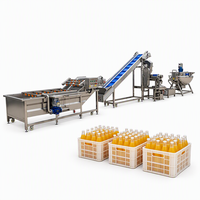 Industriële volautomatische sap productielijn, fruit sap verwerkingsmachine, sinaasappelsap afvullijn, roestvrij staal, CE gecertificeerd