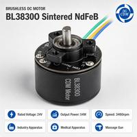 Motor DC Tanpa Sikat 38mm 24V 54W 3460RPM dengan Dudukan Flens untuk Kipas, Peralatan Rumah Tangga, Sepeda Listrik, Perahu, Instrumen Kosmetik