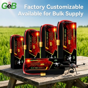 Batteria per Drone 3S 4S 6S 8S 12S 32000mAh, Modulo ad Alta Potenza per Droni Agricoli con Carico Utile Elevato - Product Image 1