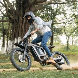 COSWHEEL R19 Potente Bici Elettrica Fuoristrada con Motore da 9000W di Potenza <span class=keywords><strong>e</strong></span> Freno Idraulico - Product Image 1