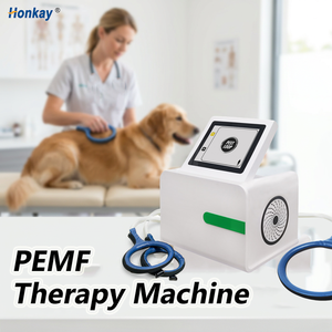 Máquina PEMF plegable con certificación CE para caballos, acelera la recuperación de heridas, previene lesiones deportivas, máquina de masaje PEMF para animales. - Product Image 1