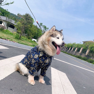 Kimono pour animaux de compagnie japonais avec cette chemise élégante unique Bulldogs, Malamutes d'Alaska, Golden Retrievers - Product Image 6
