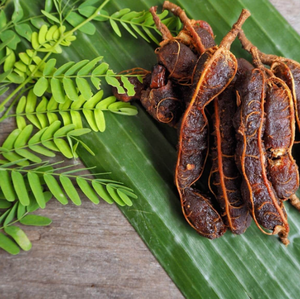 Aroma Alimentare di Tamarindo di Alta Qualità, Polvere Fine e Liquido Concentrato, Gusto e Aroma di Tamarindo, Stick Aromatizzati <span class=keywords><strong>per</strong></span> Bevande - Product Image 6