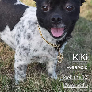 20mm Big <strong>Dog</strong> <strong>Chain</strong> Gold <strong>Dog</strong> <strong>Collar</strong> Zircon Cuban Link <strong>Chain</strong> Handmade Iced Out Diamond Exaggerated Dollar Pendant Cuban <strong>Dog</strong> <strong>Chain</strong> - Product Image 3
