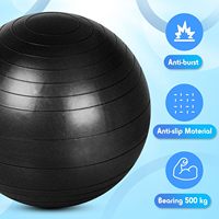 Ballon d'exercice anti-éclatement de qualité professionnelle en PVC épais, ballon de stabilité gonflable pour salle de sport commerciale, yoga, pilates, OEM disponible