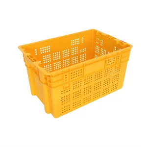 Tourtop Plastic Foldable Collapsible Plastic Pallet Crate For Sale Foldable Plastic Fruit Shopping Basket Collapsible Crate