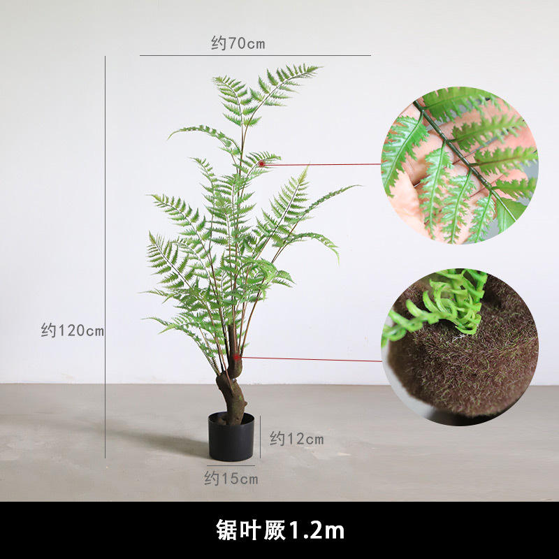 Moss root + flexible rod pro giant fern 12m