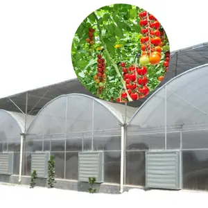 Tomate comercial cocopeat bolsa de cultivo policarbonato jardín invernadero tomate percha precio agrícola