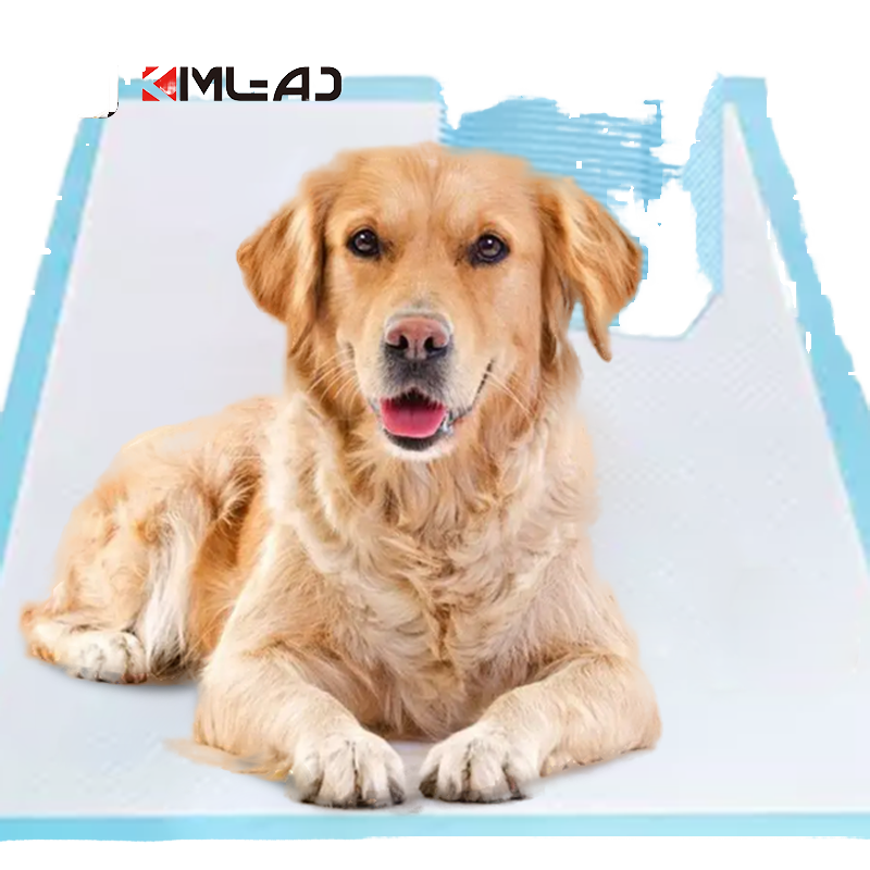Top Seller Waterproof Pet Training Supplies