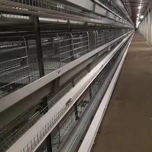 hot galvanizing chicken cage for poultry equipment design modern chicken farm