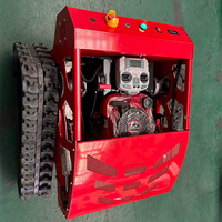 Cortadora de Césped Industrial a Gas con Control Remoto, 550 mm, con Caja Recolectora de 60 L para Cortar Maleza