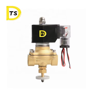Vanne solénoïde de régulation de gaz à 2 voies en laiton de haute qualité, marque TSD, vente directe usine, DN15-DN50, garantie 1 an, OEM