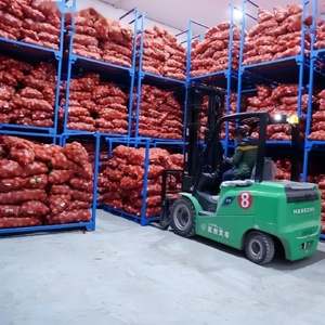 Bán Buôn Trung Quốc Màu Vàng Tím Đỏ Hành Tây Sơn Đông Vòng Từ Trung Quốc Hành Tây Giá Trong Số Lượng Lớn - Product Image 6