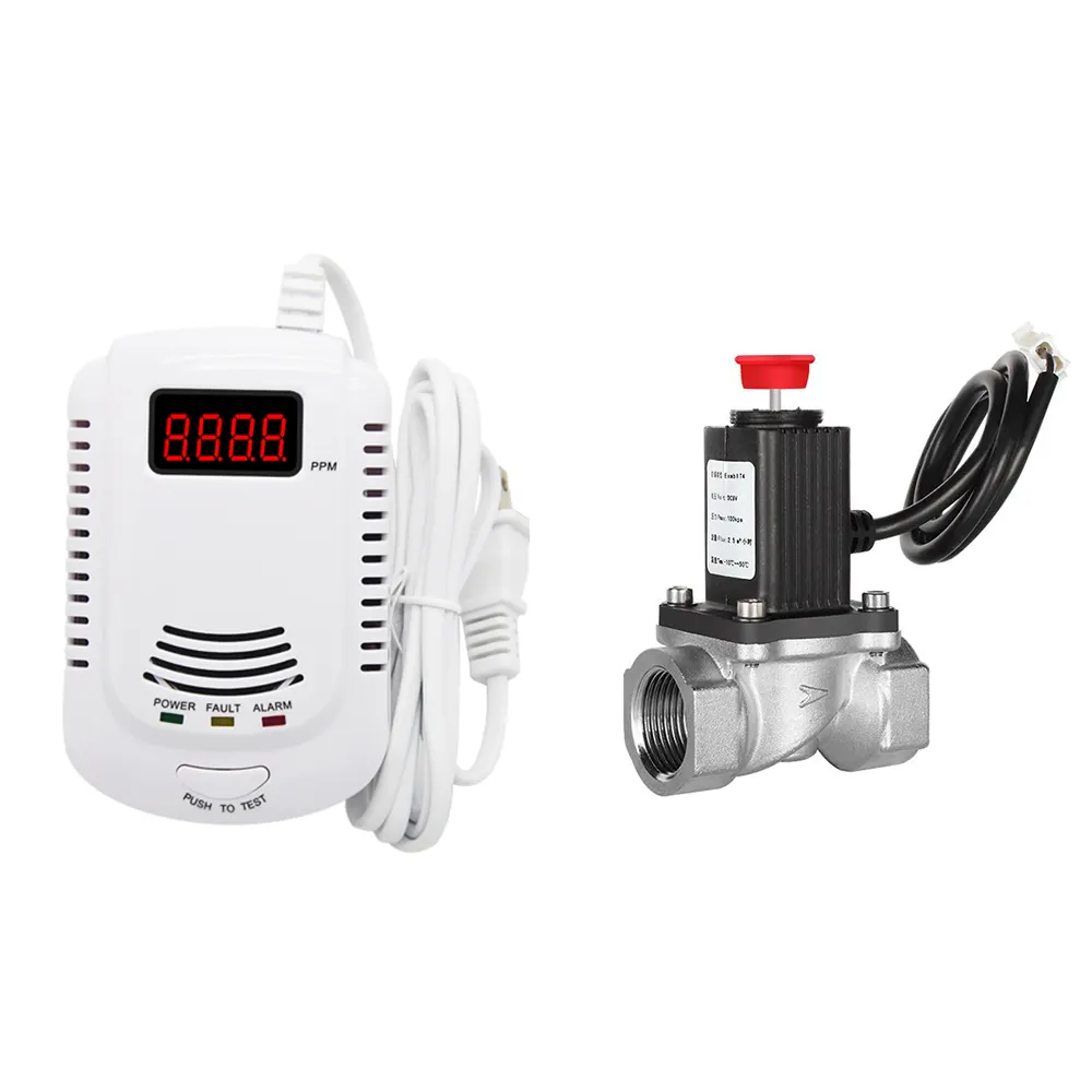AC90-240V input LED display ppm lpg gas alarm gas detector solenoid valve voice alarming