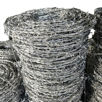 Fil de fer barbelé galvanisé et ruban barbelé à prix d'usine, corde barbelée de protection pour clôture périmétrique