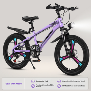 Bicicletta da Montagna Personalizzata in Acciaio ad Alto Tenore di Carbonio per Bambini e Adolescenti, Resistente e Antiruggine, Servizio OEM - Product Image 3
