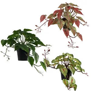 Combinação de vasos de plantas verdes para casa, ornamentos de mesa, relógio suspenso, planta bonsai simulada