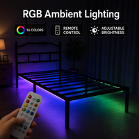 Cadre de lit en fer de qualité supérieure au design moderne avec éclairage LED RGB, bande de lit pliable en fer et télécommande