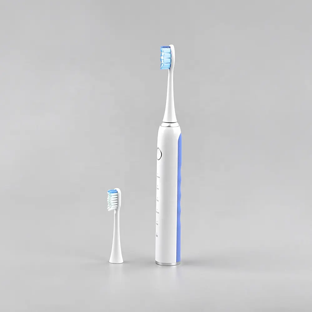 ज़ियामेन ODM और ODM मौखिक IPX7 के साथ पर्यावरण के अनुकूल इलेक्ट्रिक टूथब्रश 5 मोड